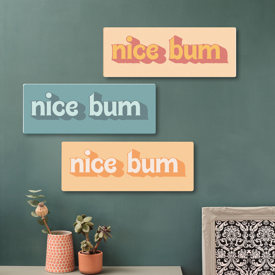 Three rectangular wooden wall art signs with 'nice bum' text on a green wall, unusual wooden poster print for interior decorating posterior fans.