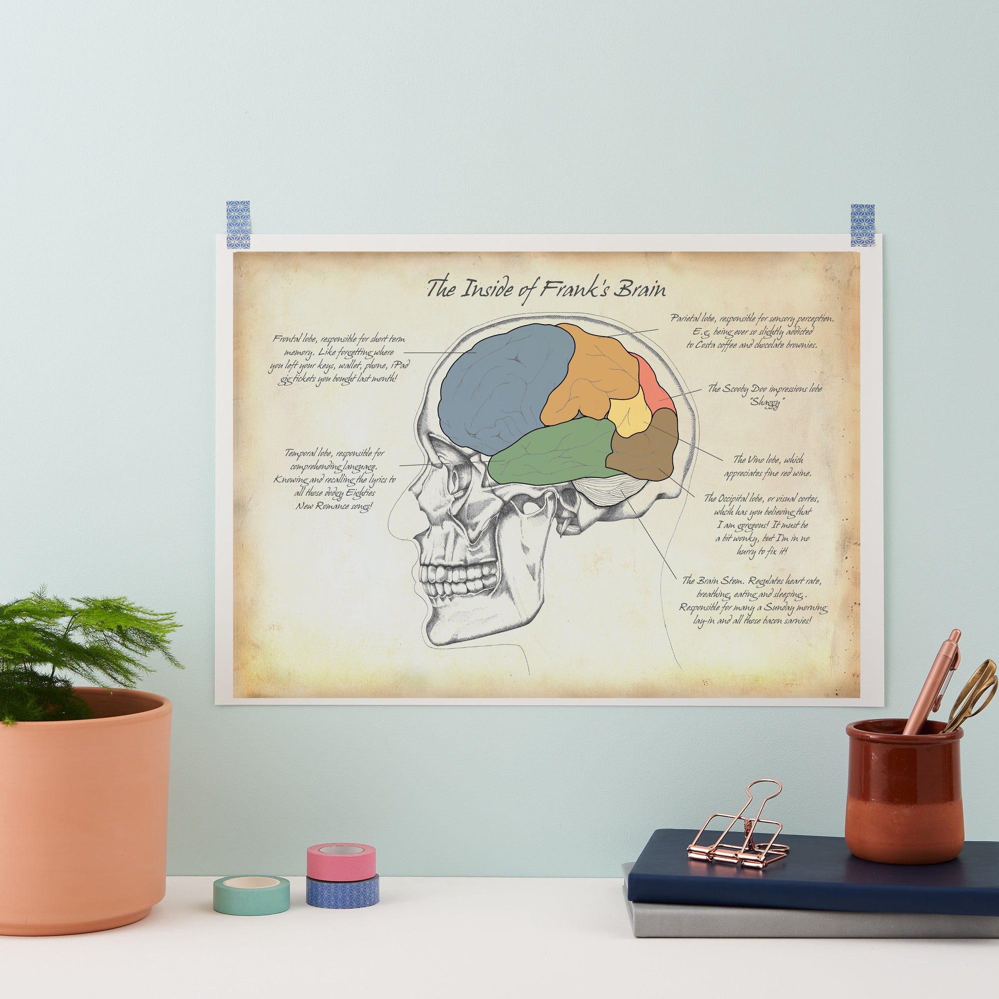 Personality Brain Anatomy Print