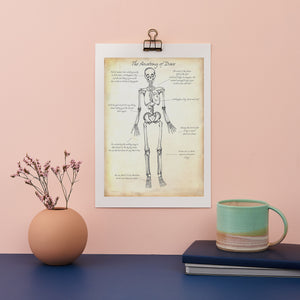 Skeleton Anatomy Personalised Print