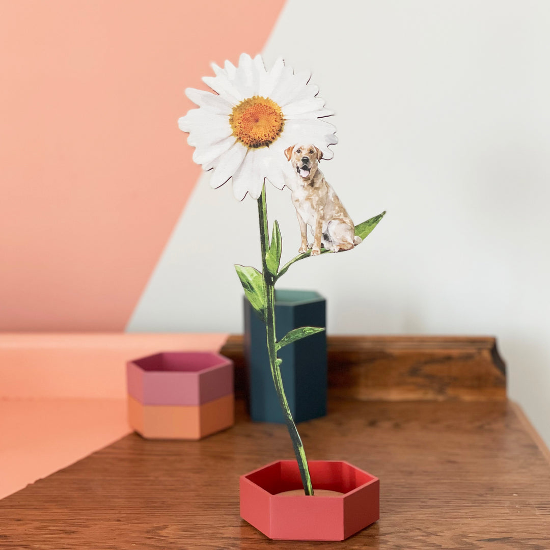 Personalised Pet Wooden Flower Gift