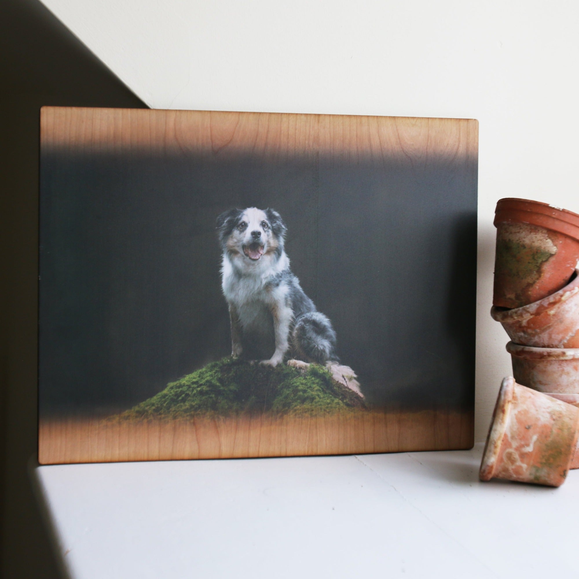 Large wooden photographic print