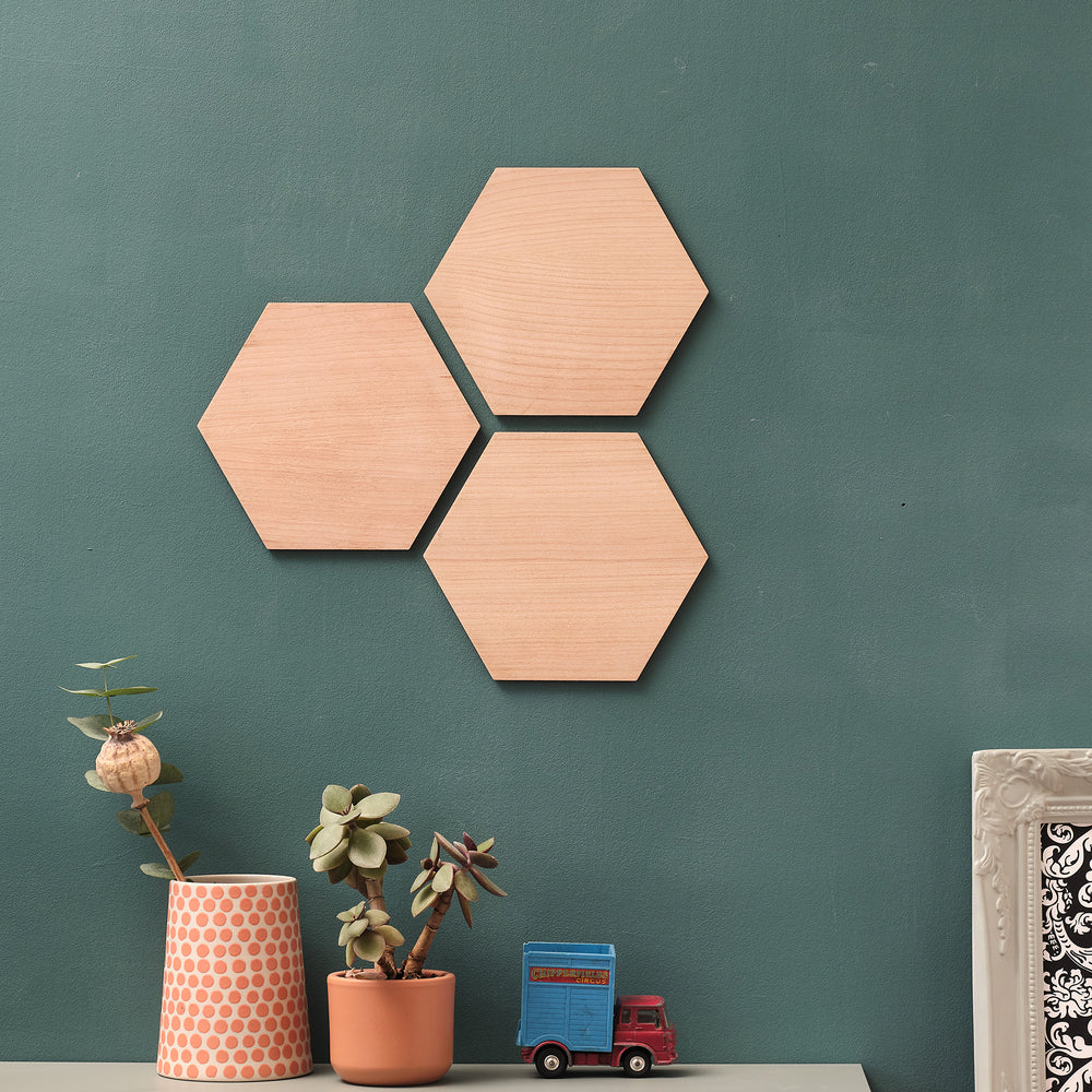 Renter friendly wooden sustainable cherry veneer hexagonal wall arts on a green wall with a toy truck and potted plants below.