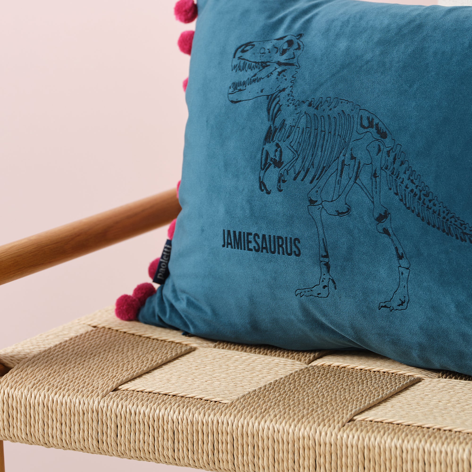 Dinosaur Personalised Velvet Cushion