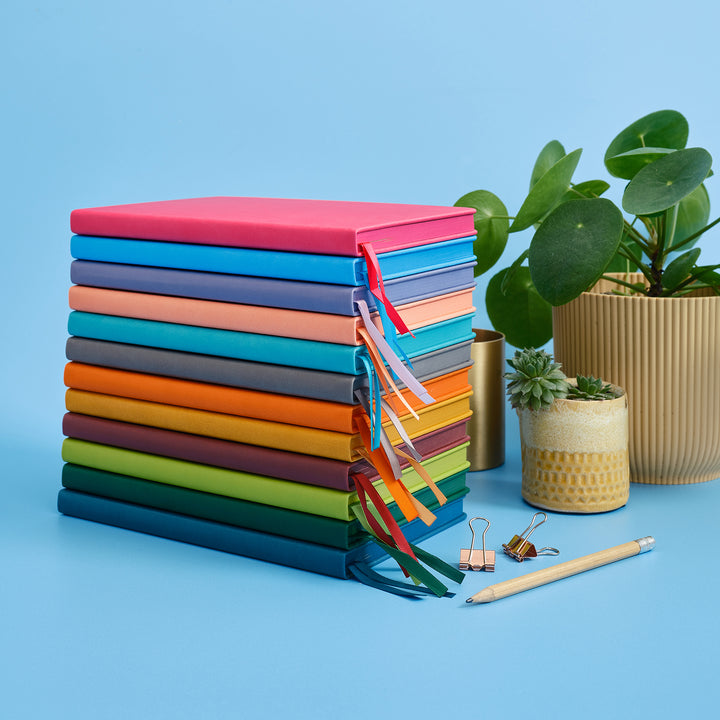 A front on image of a stack of notebooks in all 12 colours sitting on pale blue table. Surrounding the books are various stationary items and potted plants.