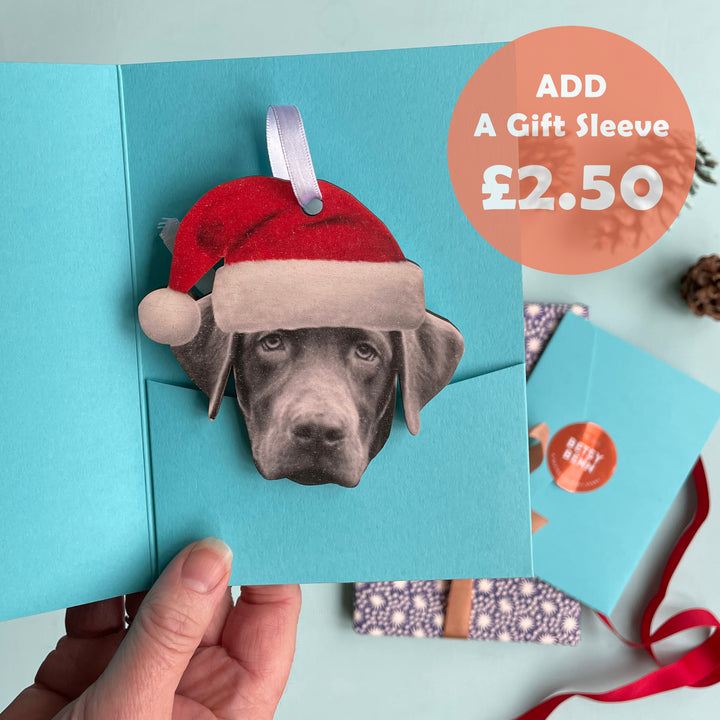 Personalised Pet Christmas Tree Decoration