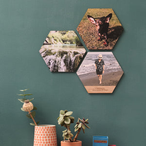 Wooden Photo Hexagon Tiles Wall Art Set of 3