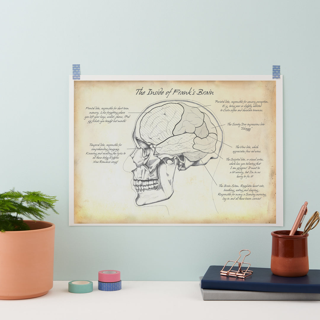 Personality Brain Anatomy Print