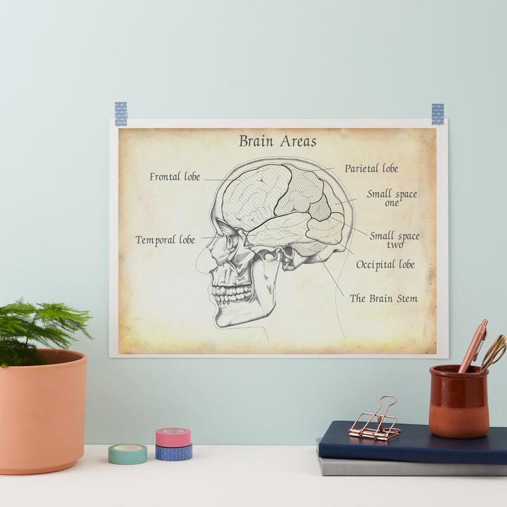 Personality Brain Anatomy Print