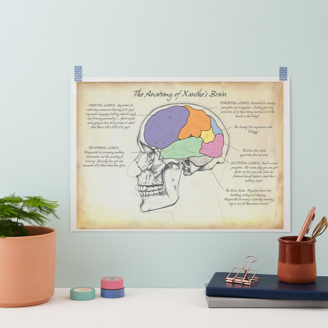 Personality Brain Anatomy Print