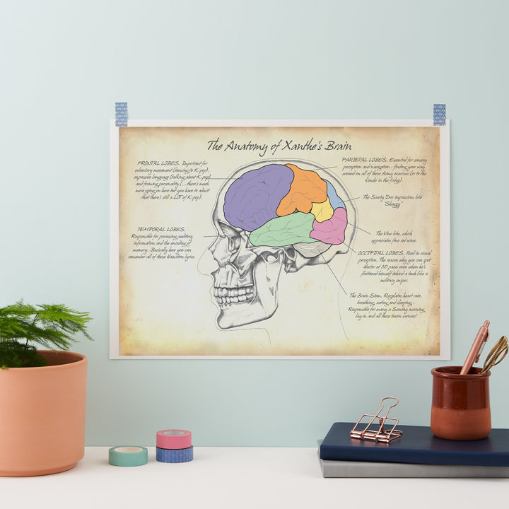 Personality Brain Anatomy Print