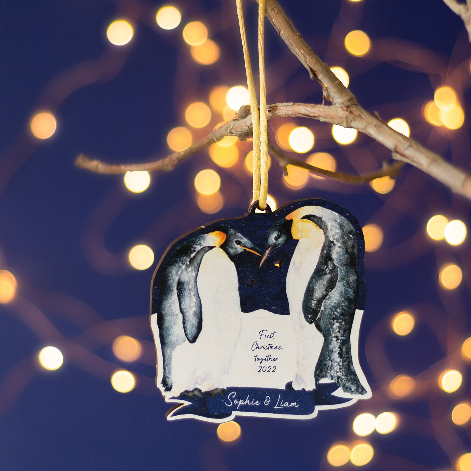 Couples First Christmas Together Penguin Christmas Card & Bauble
