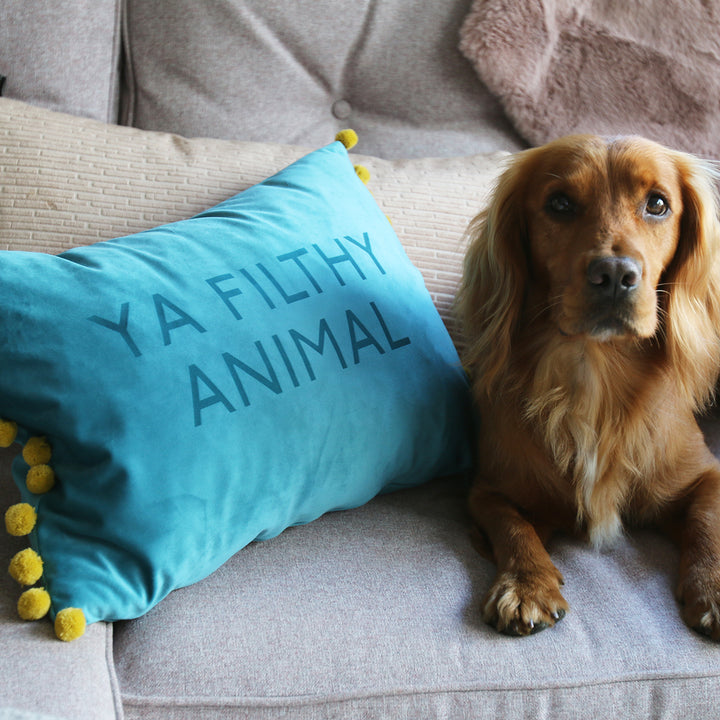 Favourite Quote or Song Lyric Pom Pom Cushion