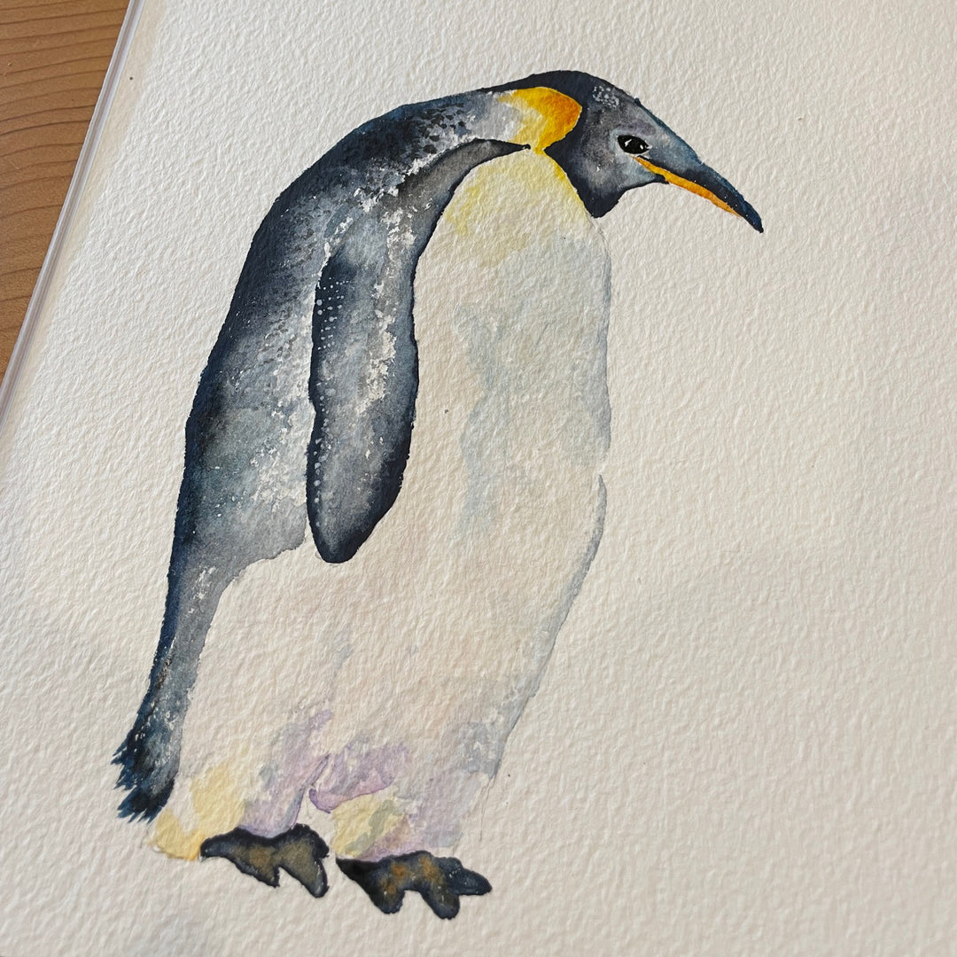  A watercolor painting of a penguin standing on a white background.