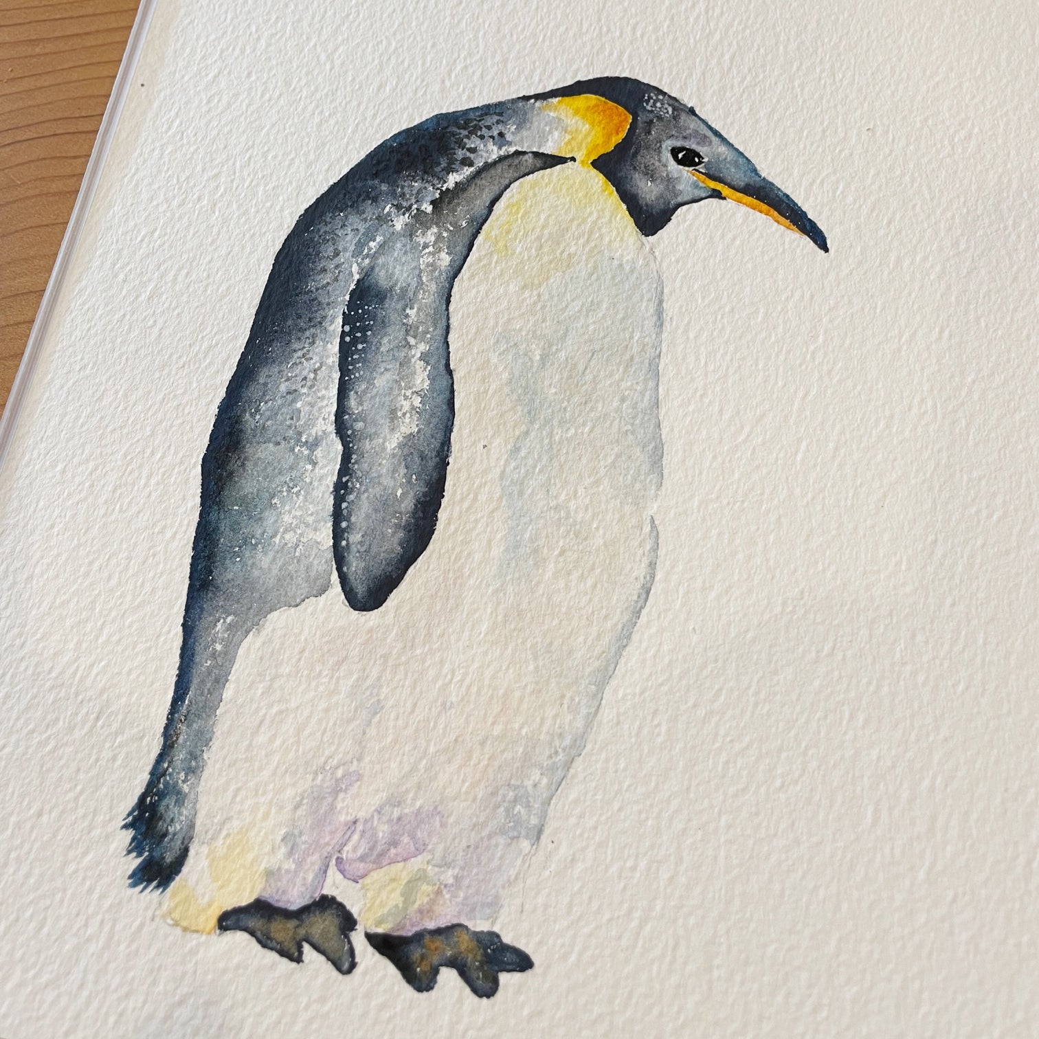 An adult Emperor Penguin watercolour realistic painting on white watercolour paper. This is the original watercolour that this Christmas decoration is based upon.
