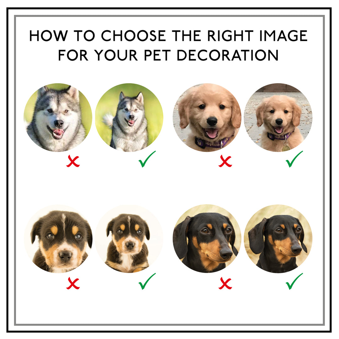 Image showing what type/size of image to choose.