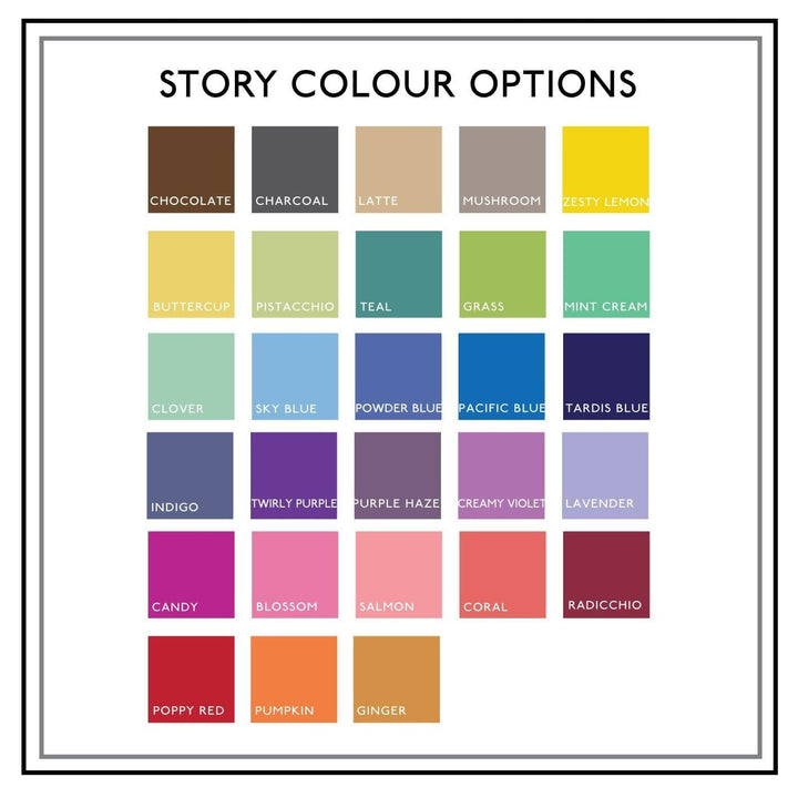 A color palette with 24 swatches arranged in six rows of four, each labeled with a color name like "CHOCOLATE," "TEAL," "INDIGO," and "CANDY." The title "COLOUR OPTIONS" is at the top.