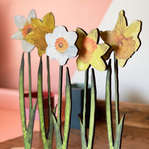 Assortment of different wooden coloured daffodils displayed on a stand