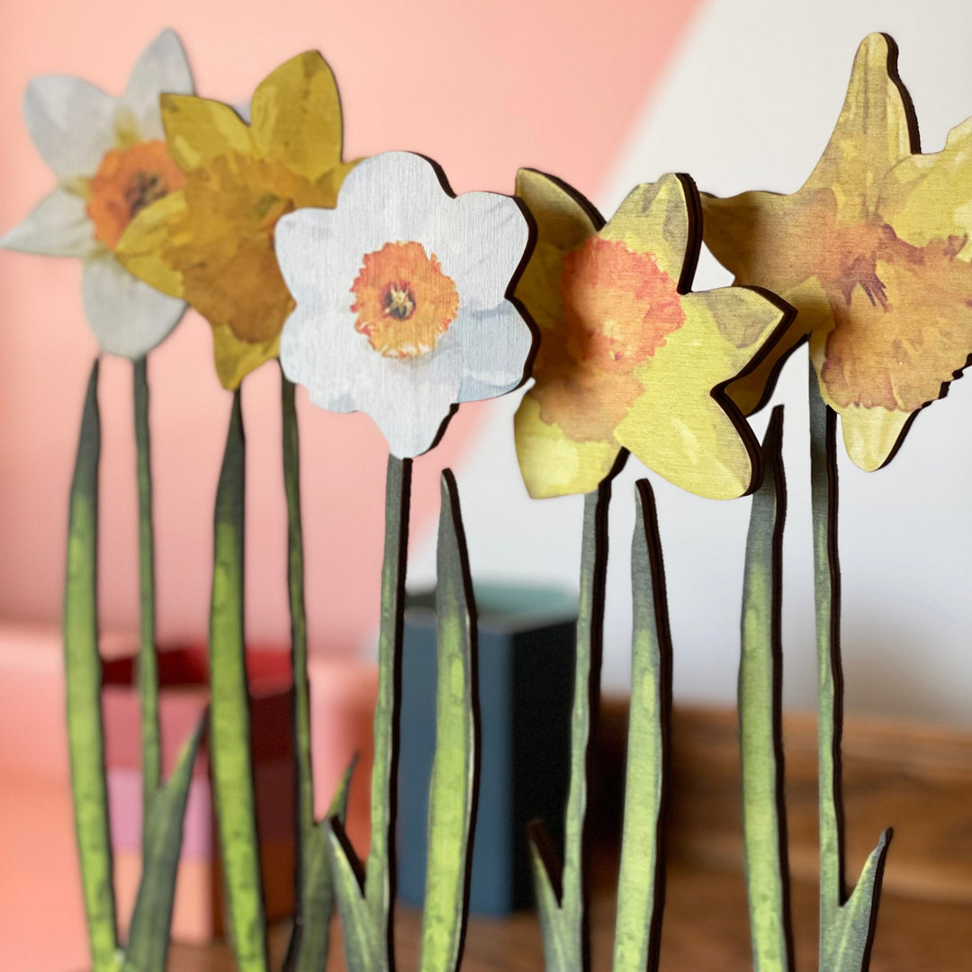 Assortment of different wooden coloured daffodils displayed on a stand