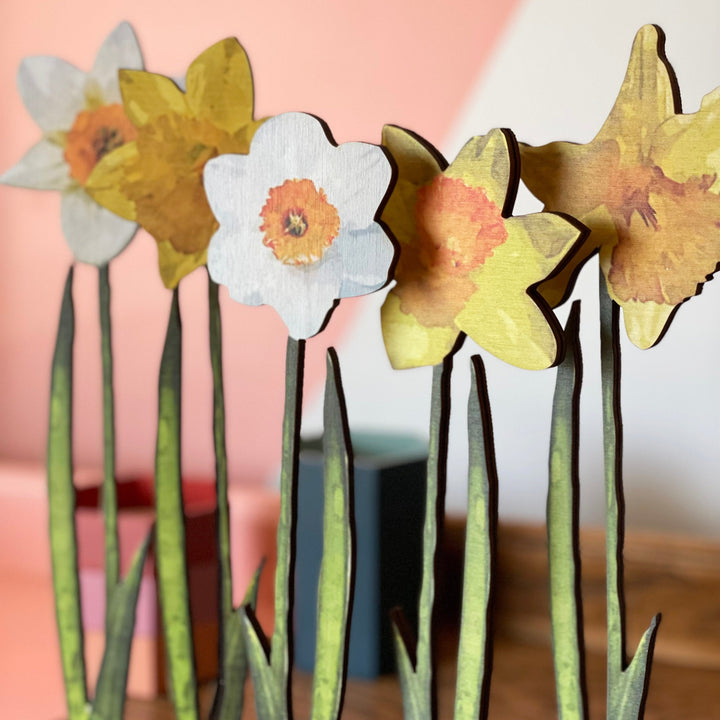 Assortment of different wooden coloured daffodils displayed on a stand