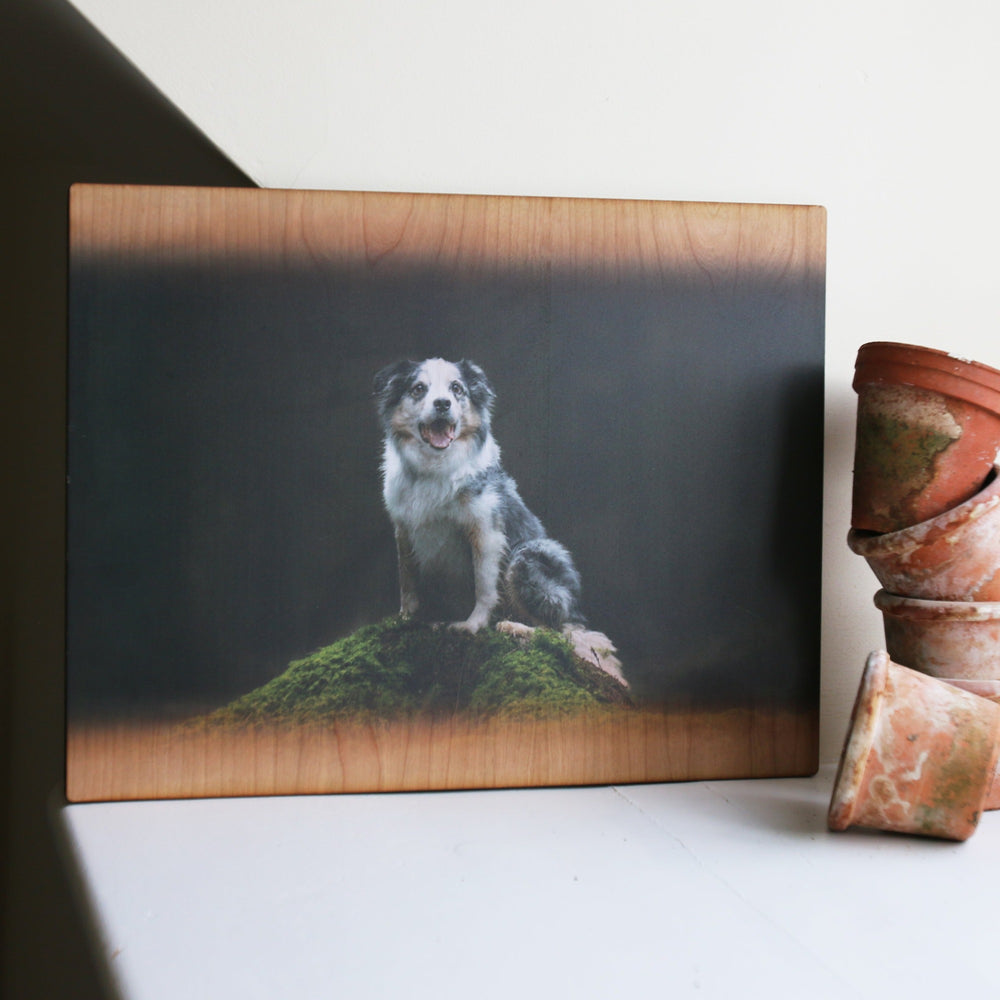 A photo of a happy-looking dog printed on a wooden plaque, with a stack of terracotta plant pots in the background.
